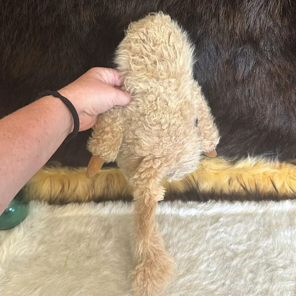 Baby paca  monkey (7003) - Picture 2 of 5